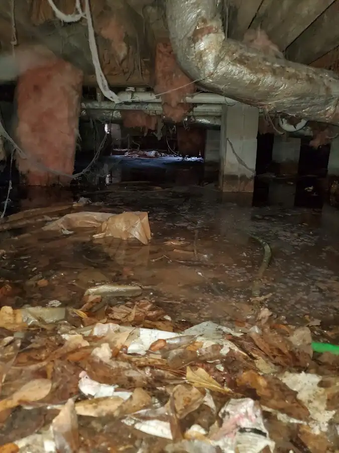 Crawl space flood assessment for Leak Detection & Repair in Center